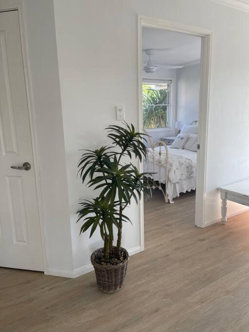 Studio Seaside Self-Contained Apartment Marcoola Esterno foto